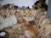 DSCN4851.JPG