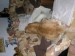 DSCN4861.JPG