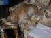 DSCN4859.JPG