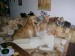 DSCN4862.JPG