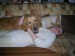 DSCN4864.JPG